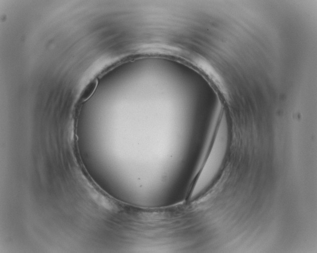 X0000089411376200707061243