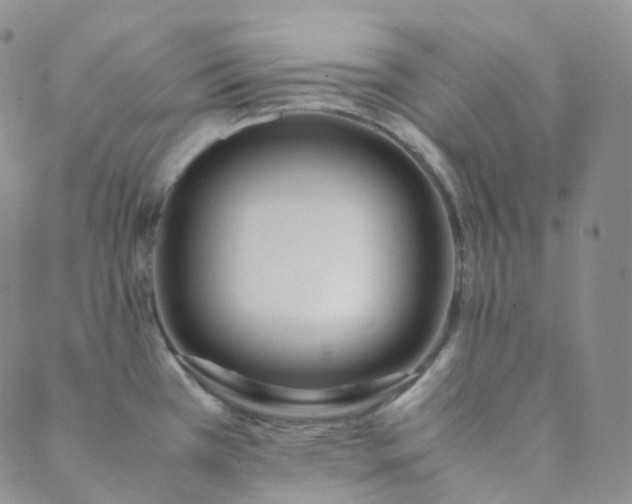 X0000089411385200707061243