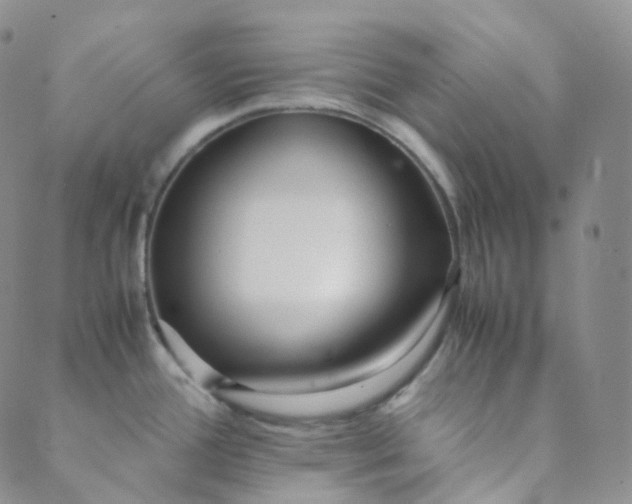 X0000089411388200707061243