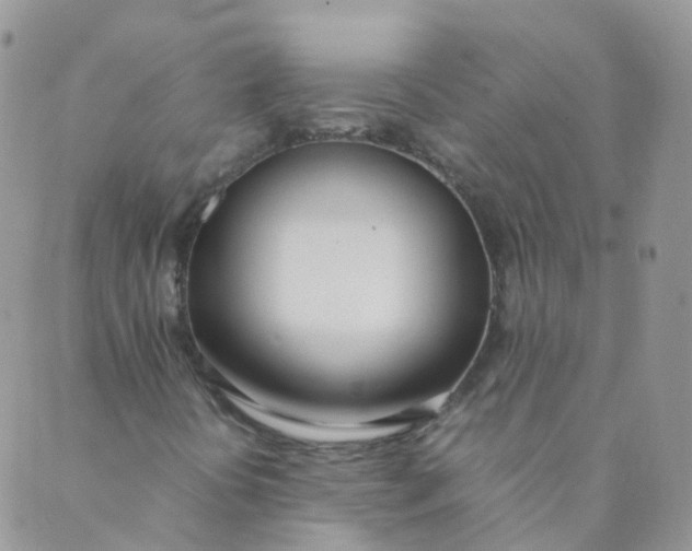 X0000089411394200707061242