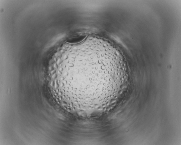X0000089411399200707061242
