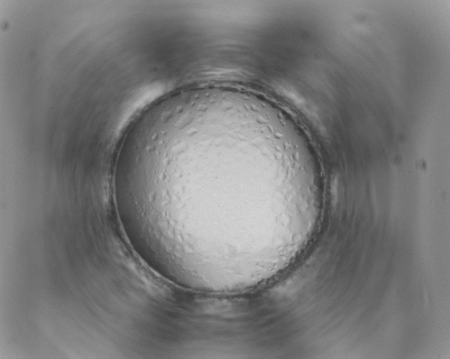 X0000089411405200707061242