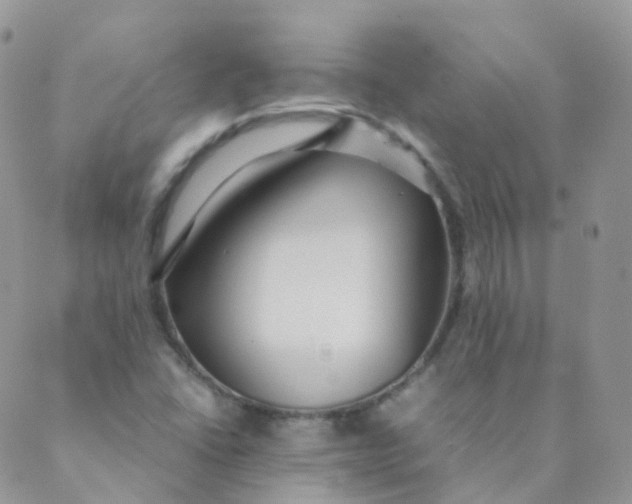 X0000089411406200707061242