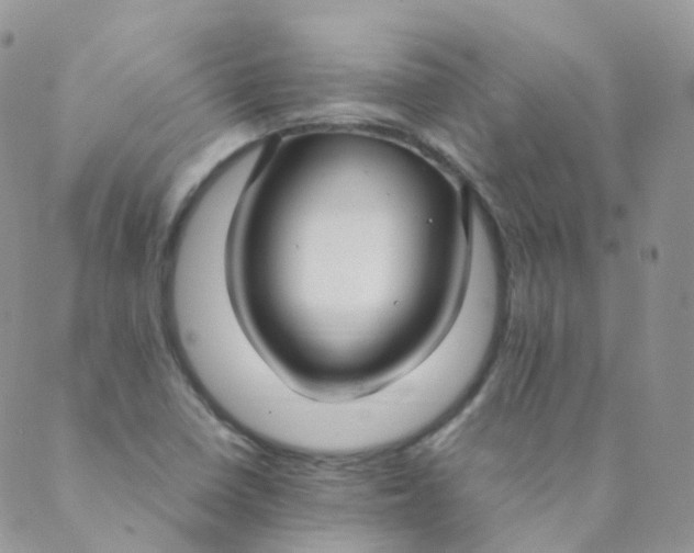 X0000089411410200707061242