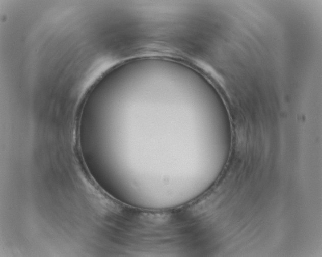 X0000089411415200707061243