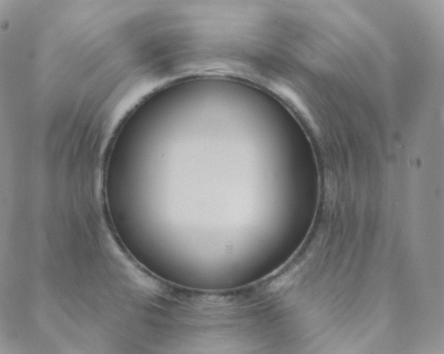 X0000089411424200707061243