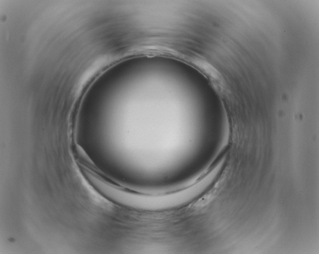 X0000089411430200707061243