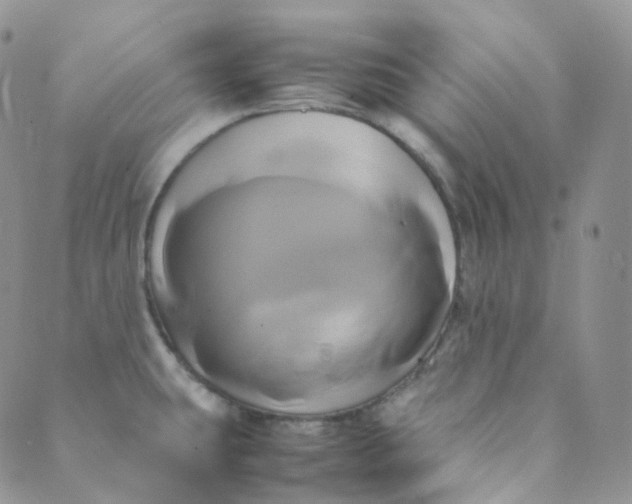 X0000089411431200707061243