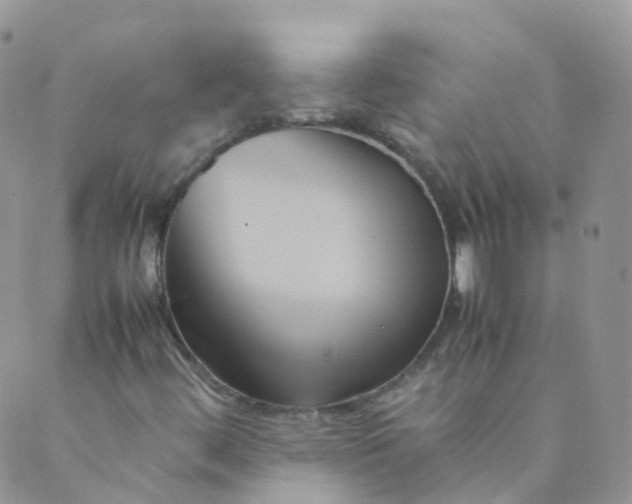 X0000089411444200707061242
