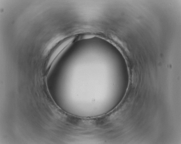 X0000089411453200707061242