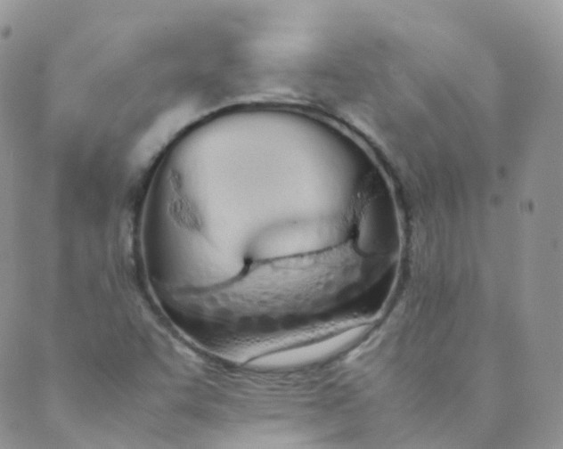 X0000089411455200707061242