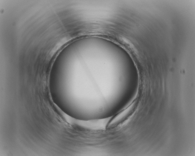 X0000089411457200707061242