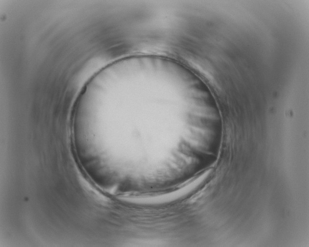 X0000089411471200707061242