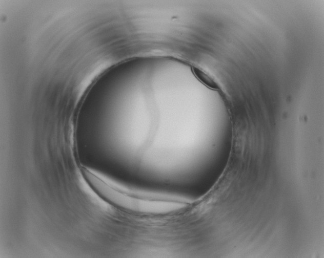 X0000089411476200707061242