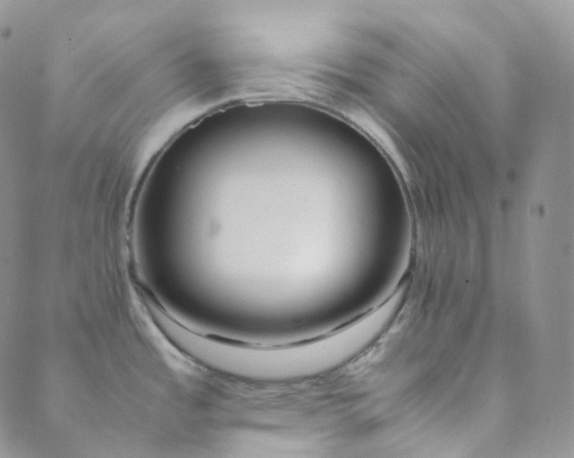 X0000089411485200707061241