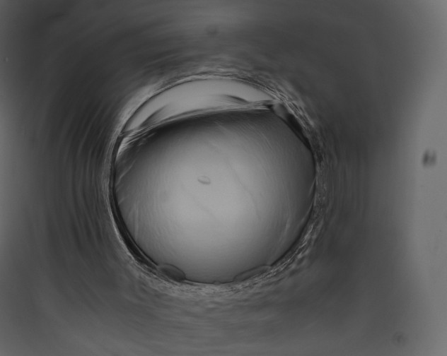 X0000089410003200707131811
