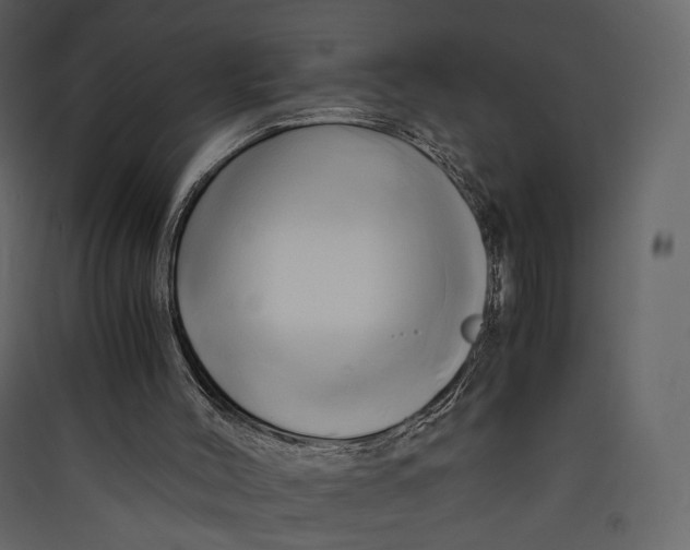 X0000089410004200707131811