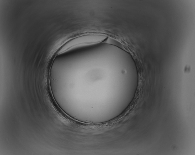 X0000089410005200707131811