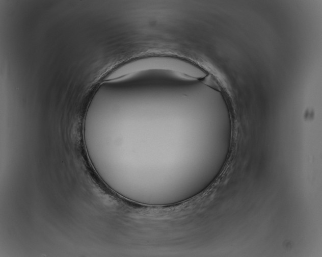 X0000089410009200707131811