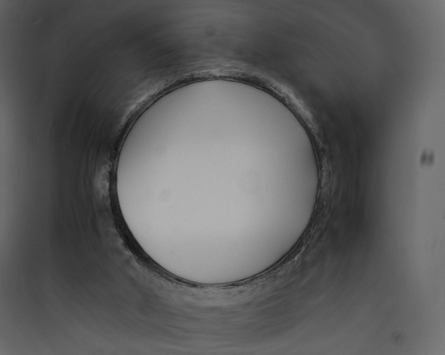 X0000089410010200707131810