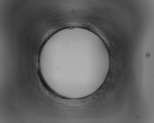 X0000089410011200707131810
