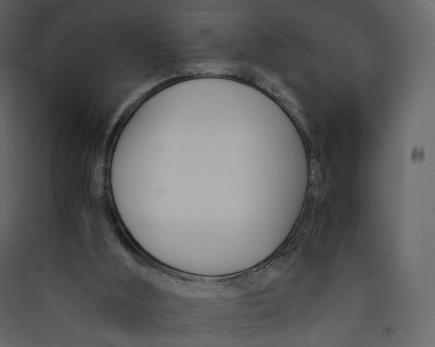 X0000089410012200707131810