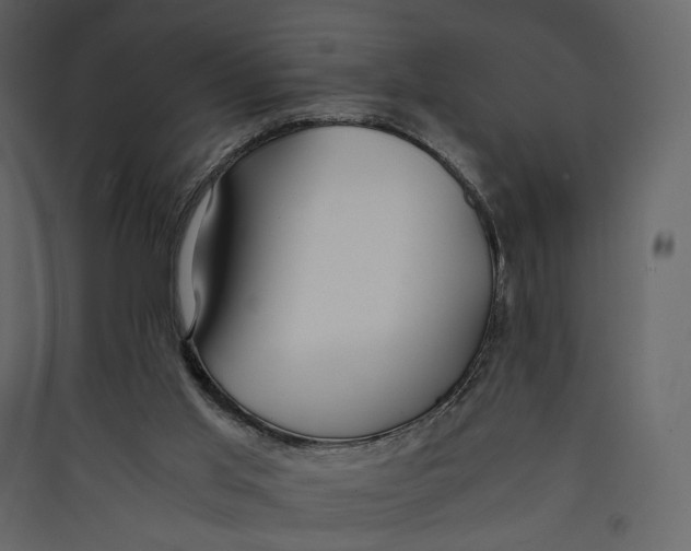 X0000089410013200707131810