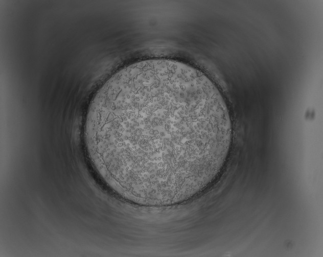 X0000089410018200707131810