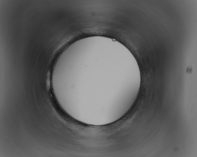 X0000089410020200707131810