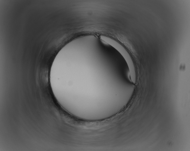 X0000089410021200707131810