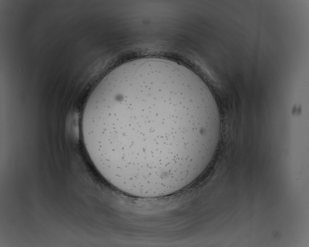 X0000089410022200707131810