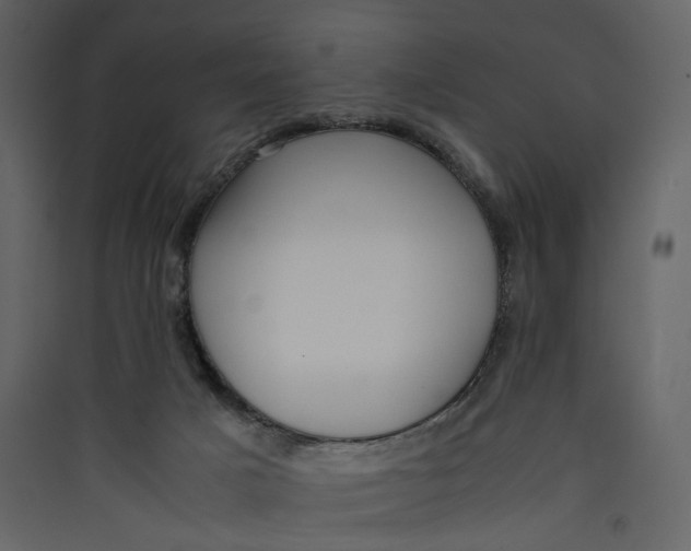 X0000089410025200707131810