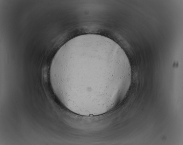 X0000089410026200707131810