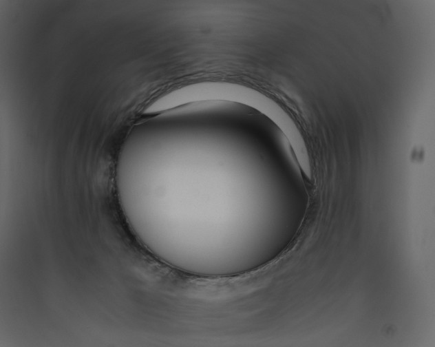 X0000089410029200707131810