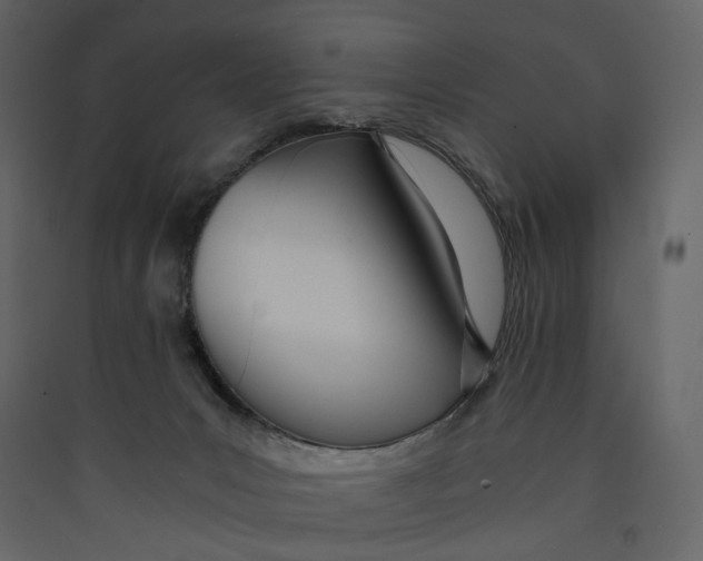 X0000089410031200707131810