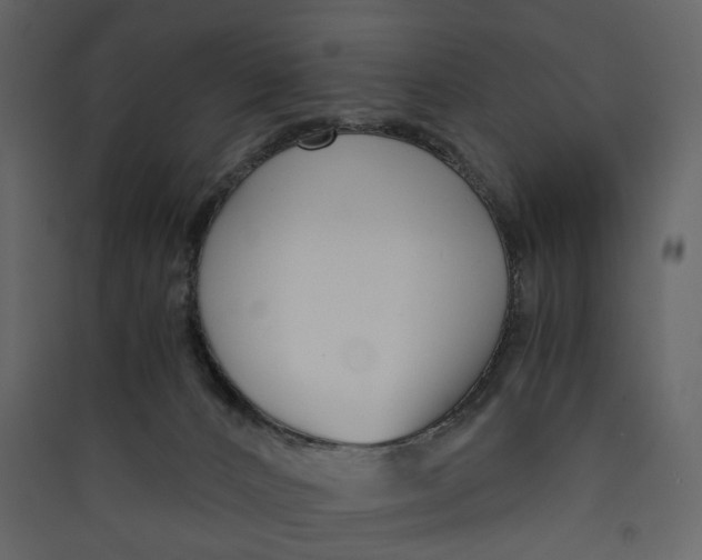 X0000089410032200707131810