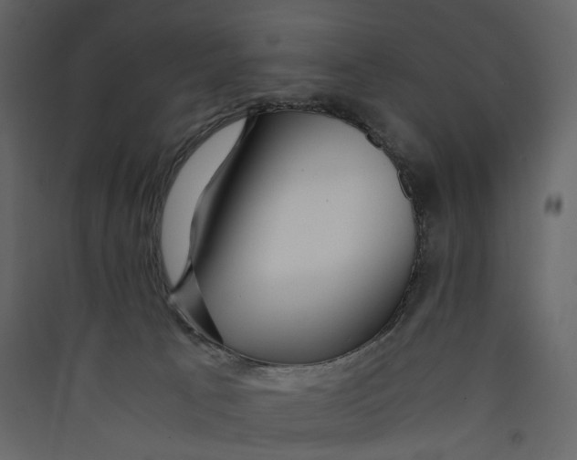 X0000089410033200707131810