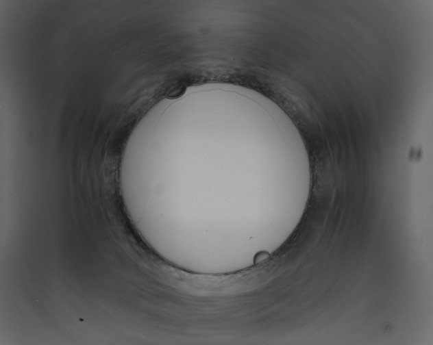 X0000089410034200707131810