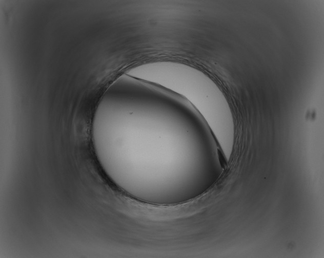 X0000089410039200707131810