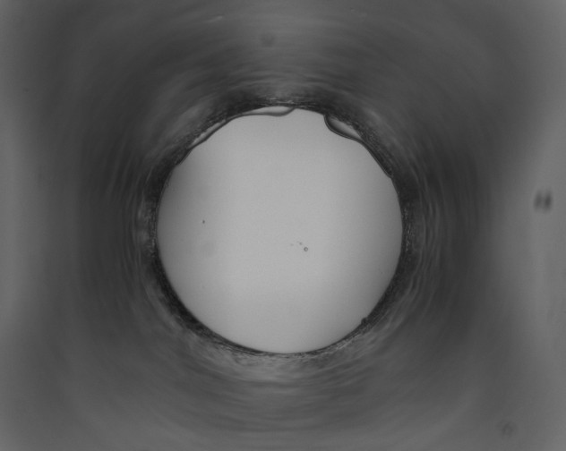 X0000089410044200707131810