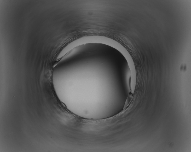X0000089410045200707131810