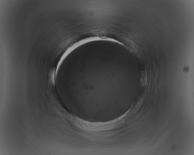X0000089410047200707131810