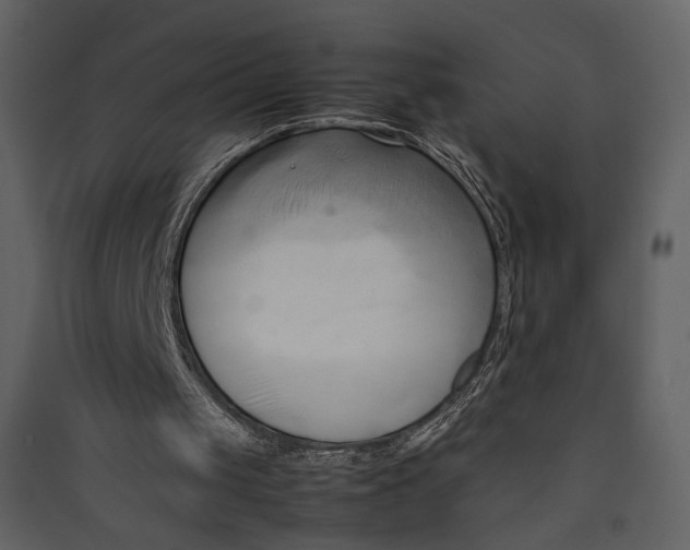 X0000089410049200707131809