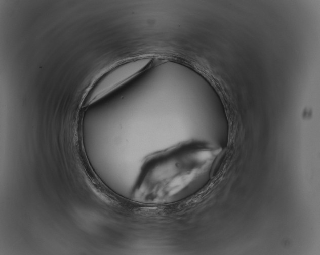 X0000089410050200707131809