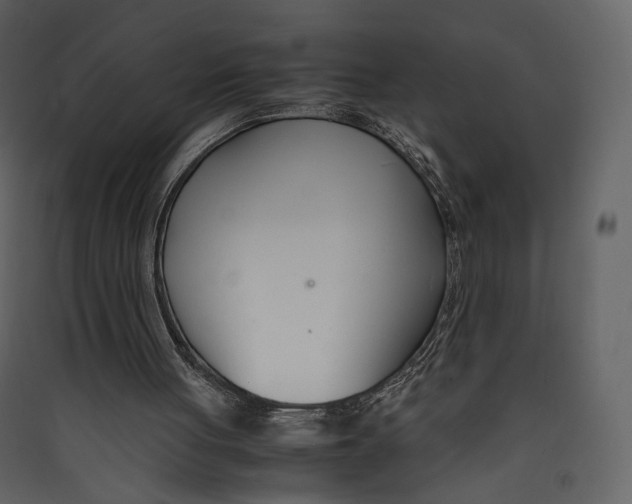 X0000089410051200707131809