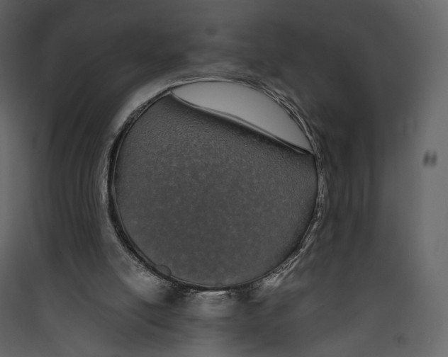 X0000089410054200707131809