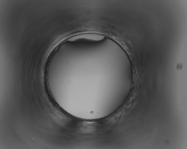 X0000089410055200707131809