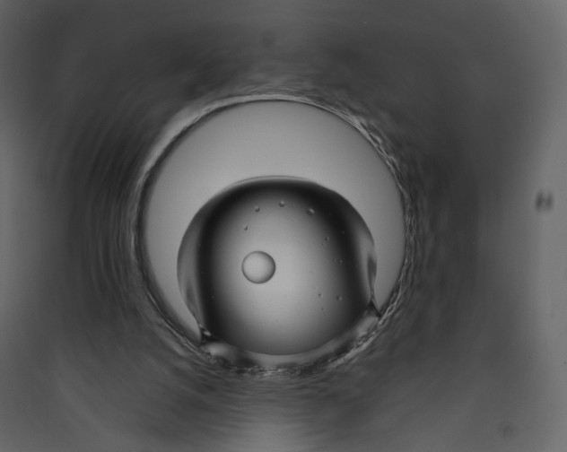 X0000089410056200707131809