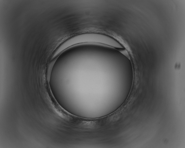 X0000089410057200707131809