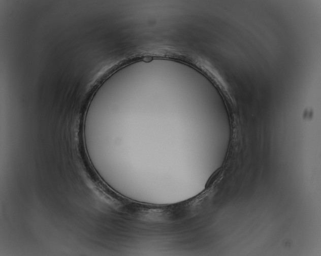 X0000089410058200707131809